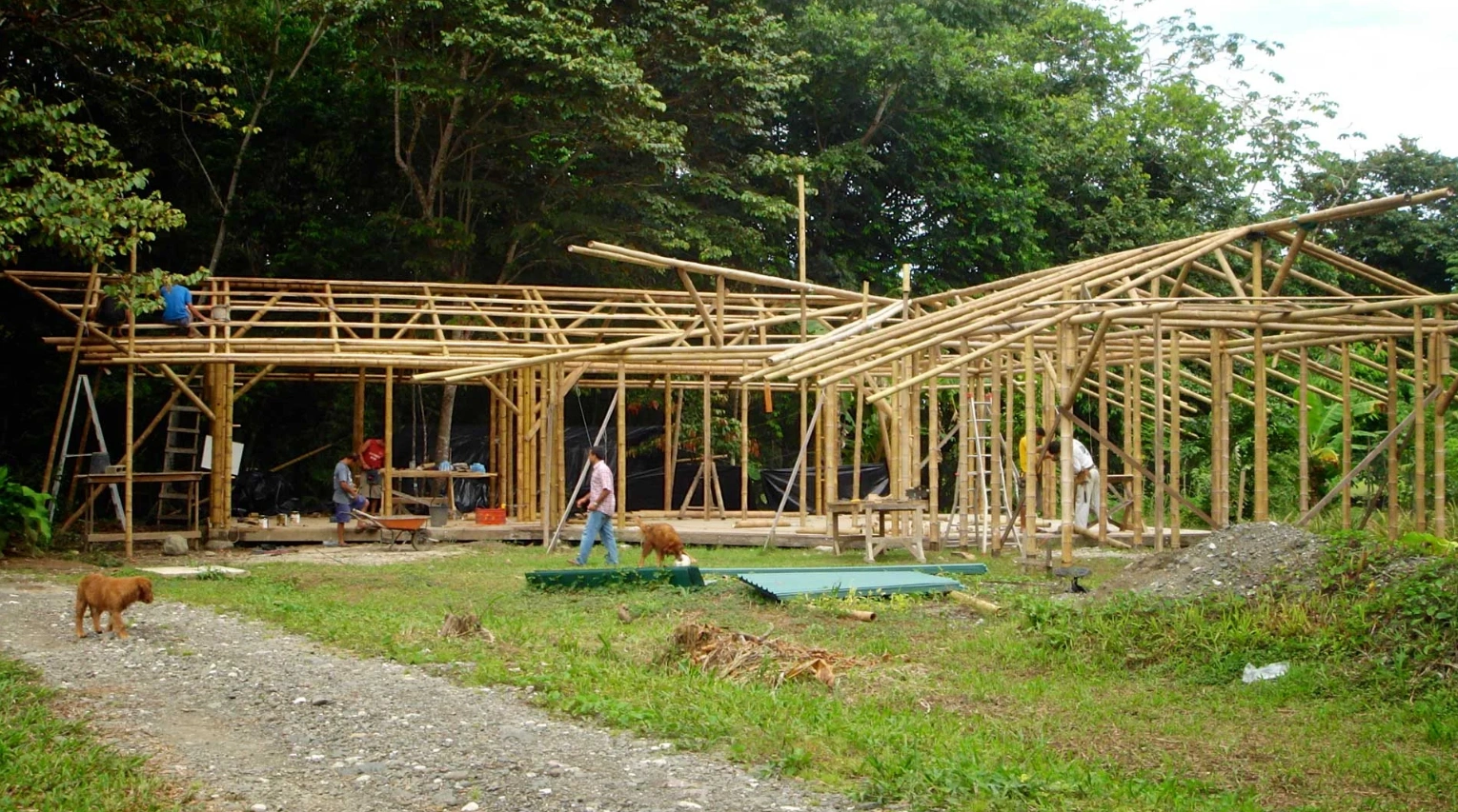 best-green-building-materials-eco-homes