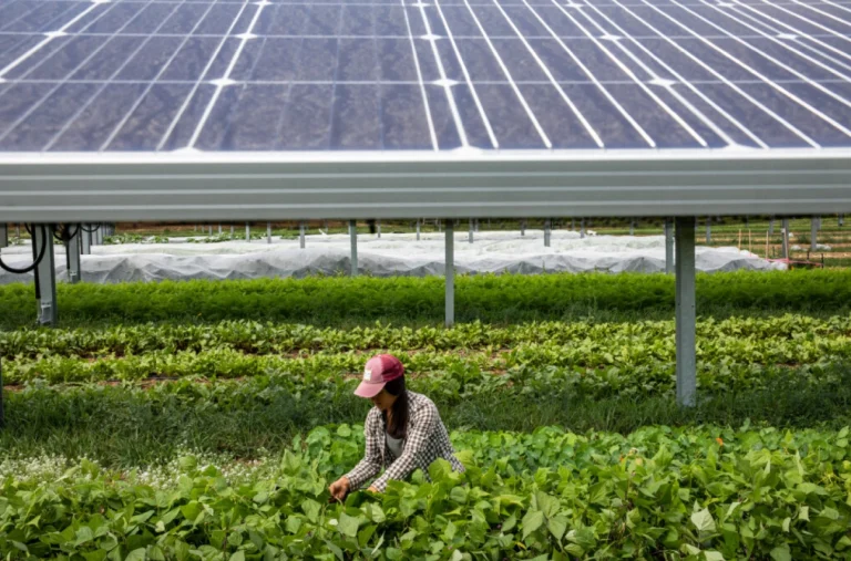 solar-tech-tools-for-gardeners